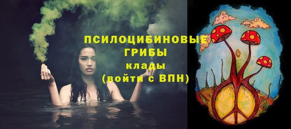 амф Вязьма
