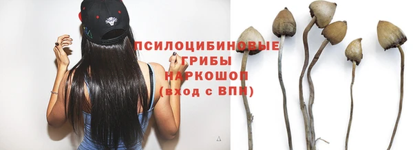 амф Вязьма