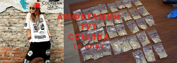 амф Вязьма