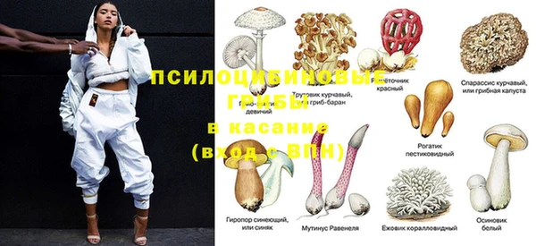 амф Вязьма